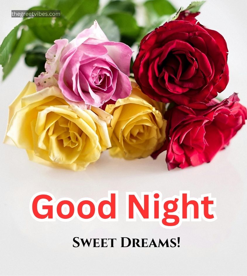 Good Night Wishes Pics with Vibrant Roses Flowers