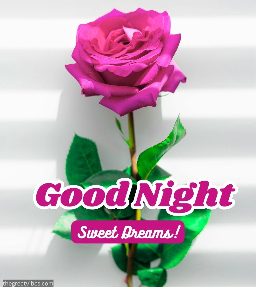 Roses flowers with Good Night Flowers Wishes