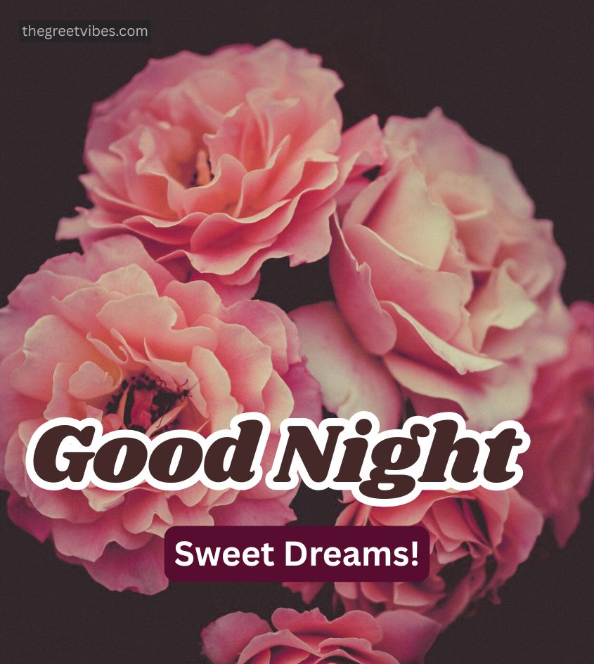 Good Night Gulab Image