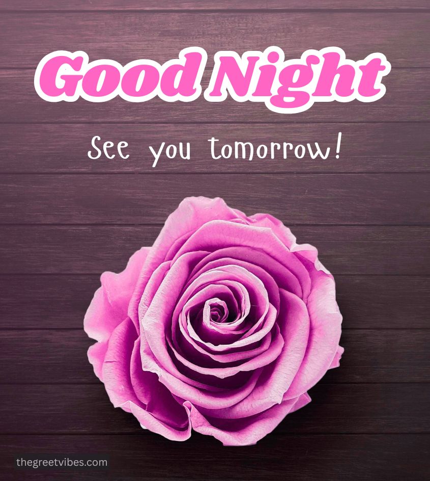 Good Night Pink Gulab Image for Status