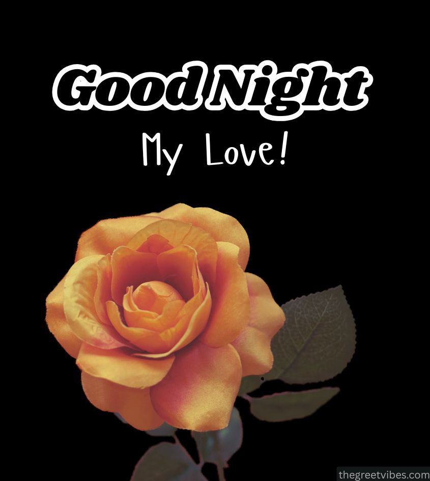 Good Night Yellow Gulab Image for Lover