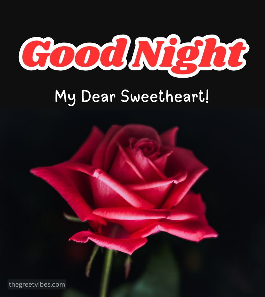Good Night Red Gulab Image for Sweet lover
