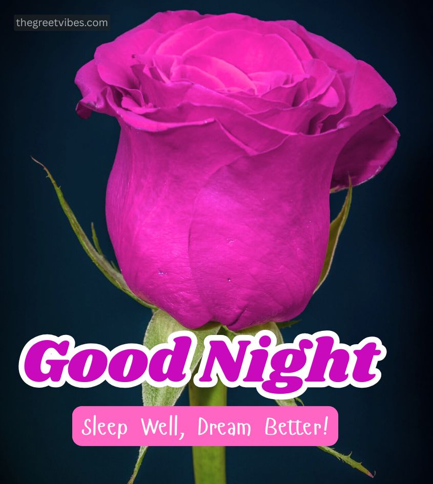 Good Night Pink Gulab Image