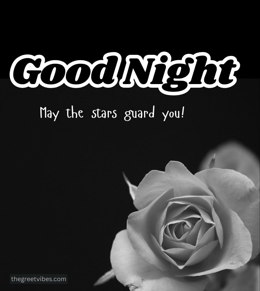 Gulab with Good Night Images