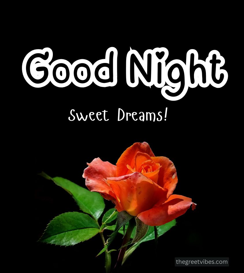Good Night Roses Images for Lover