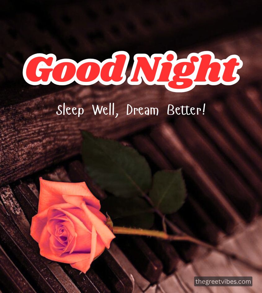 Good Night Wishes with Beautiful Rose Flower