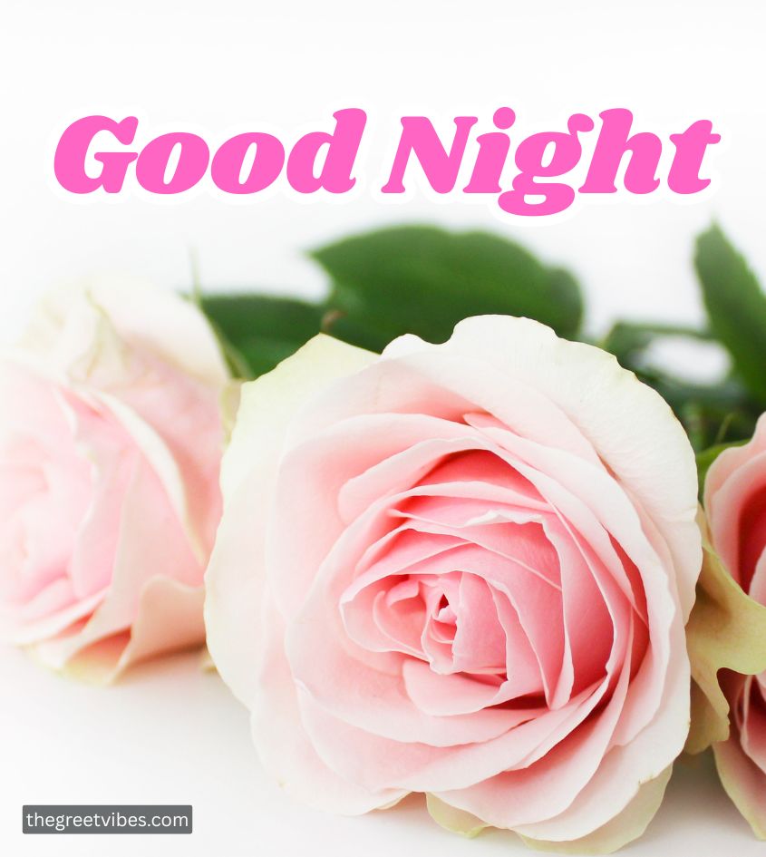 Good Night Wishes
