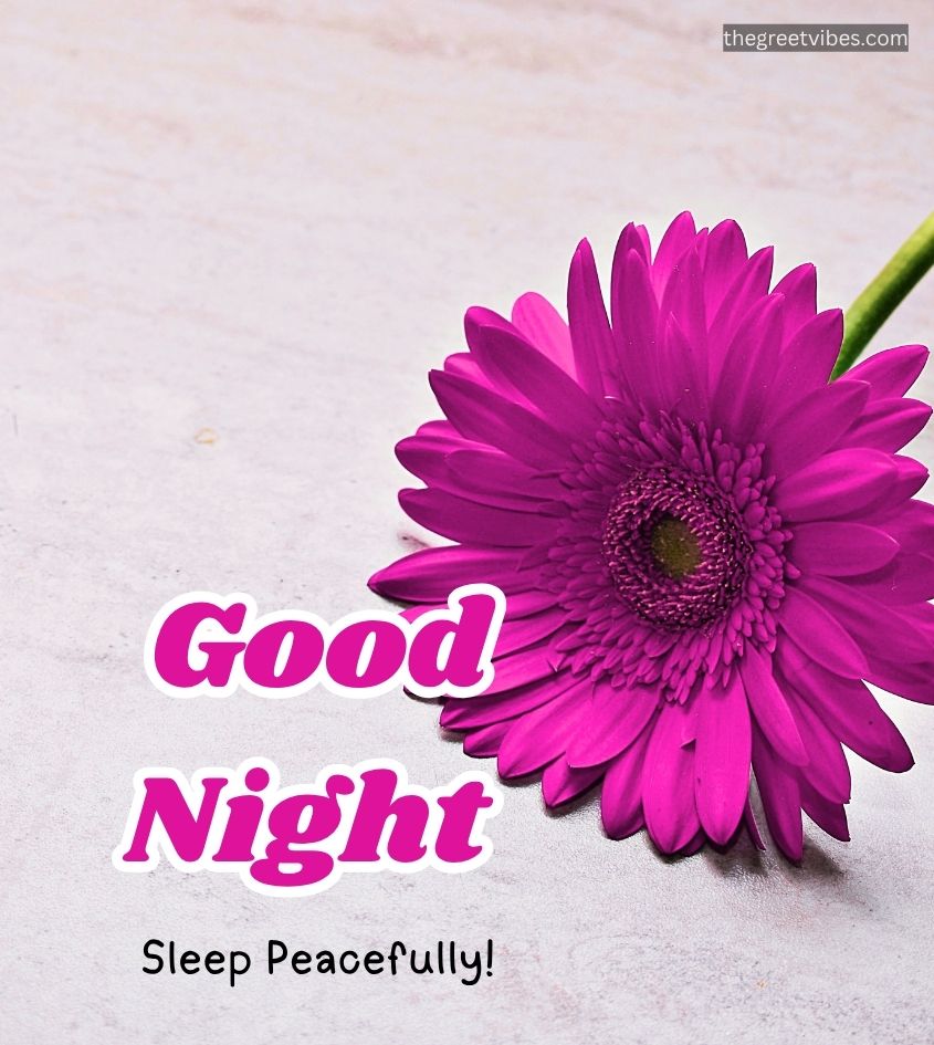 Good Night Flower Images