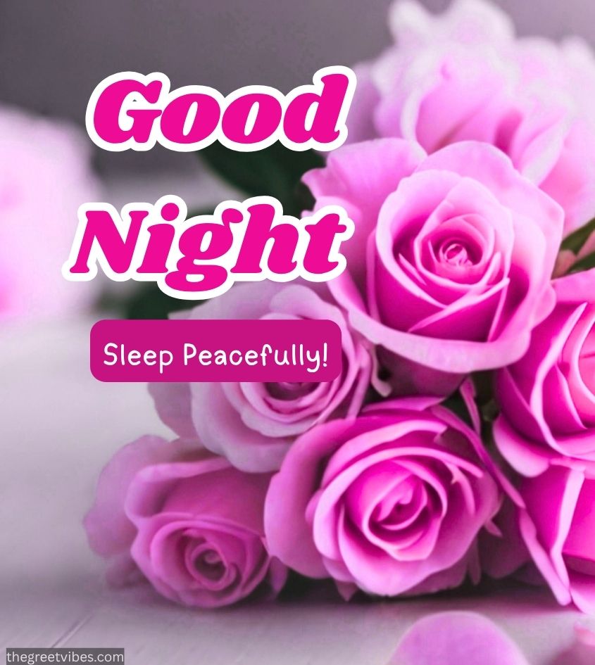 Good Night Flowers Images with Pink Roses