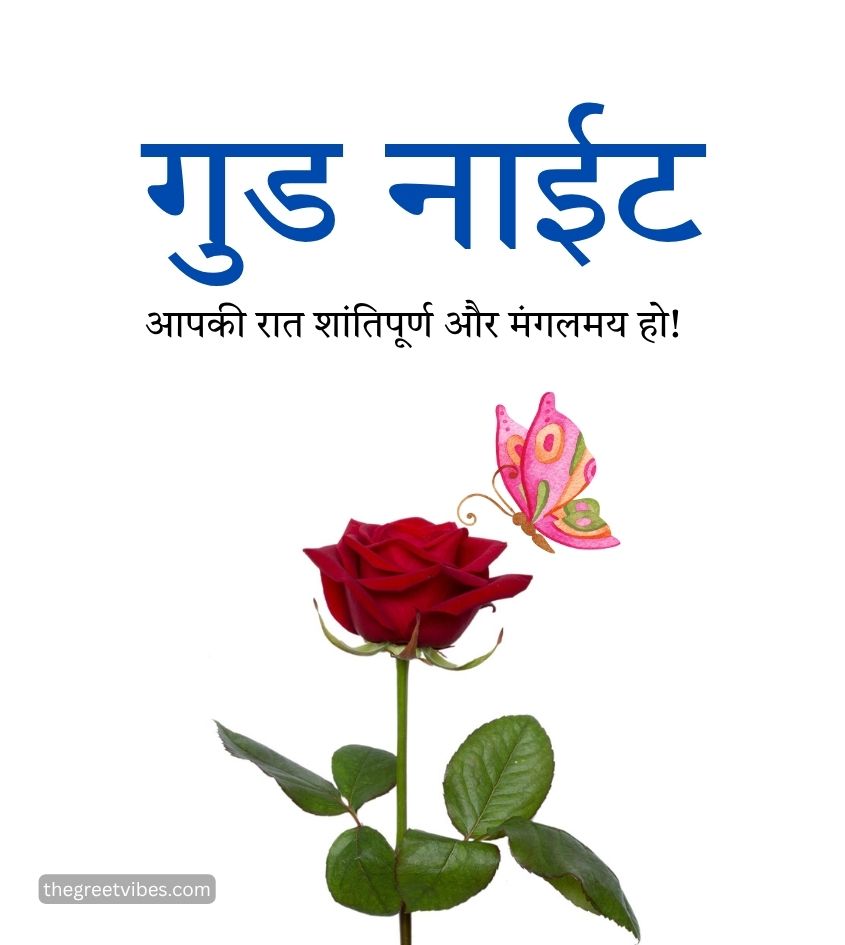 Hindi Good Night Rose Images