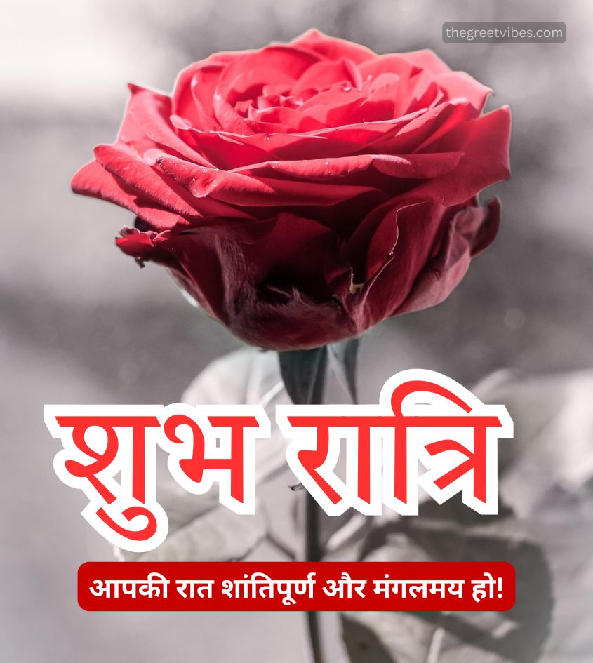Shubh Ratri Images in Hindi Images with Rose