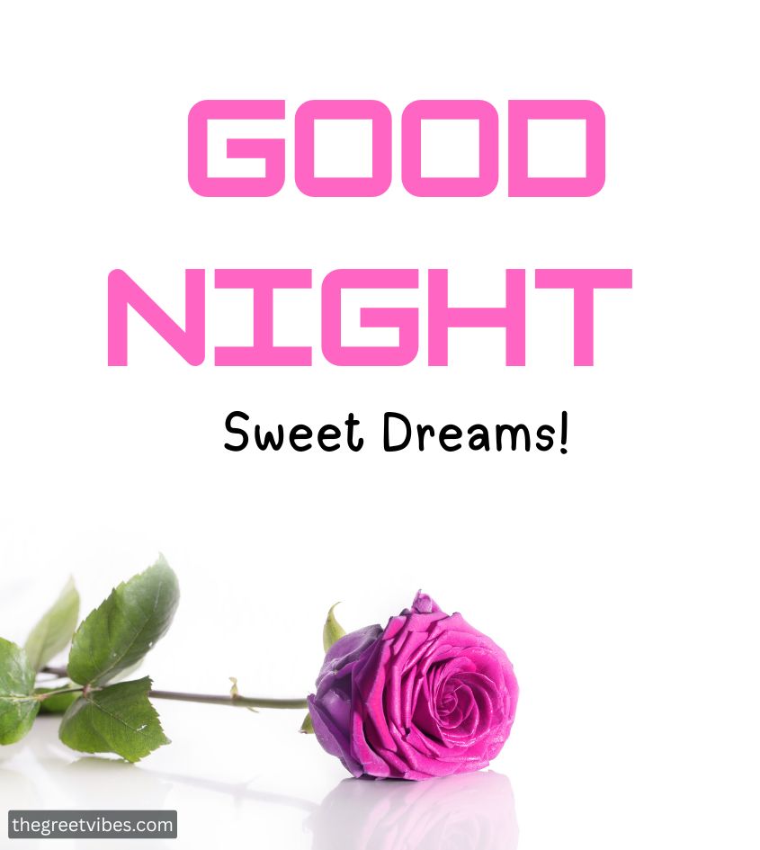 Good Night Wishes with Single Rose