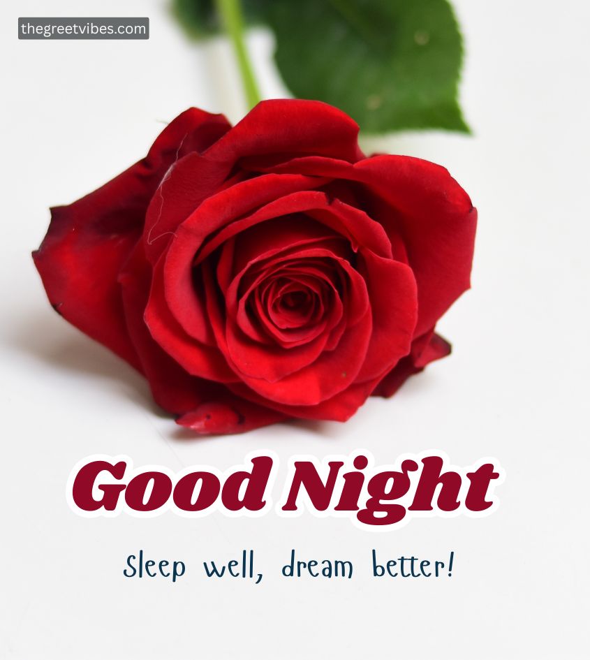 Red gulab phool with Good Night Image