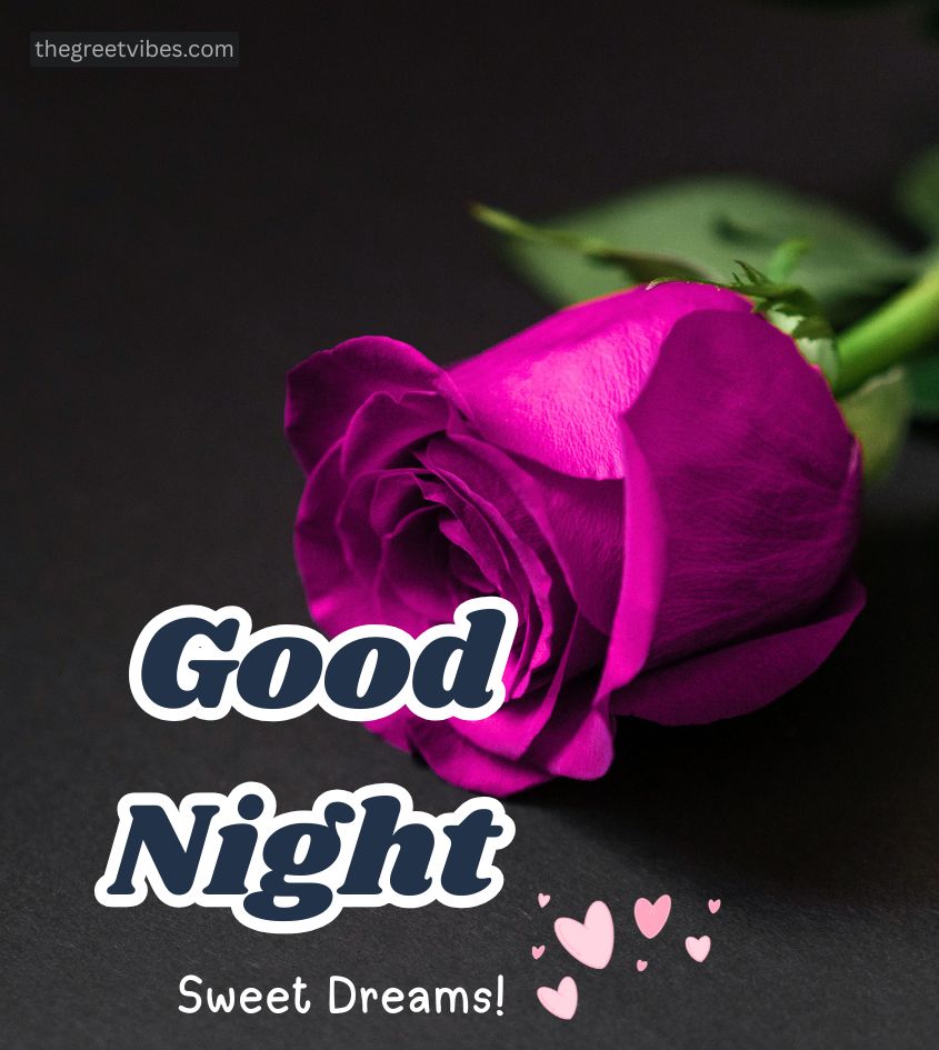Good Night Pink Roses Images for Her