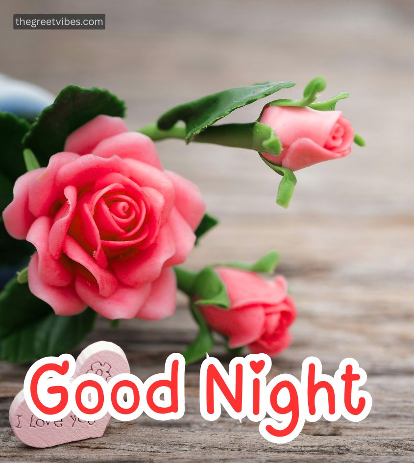 Good Night Wishes with love Rose