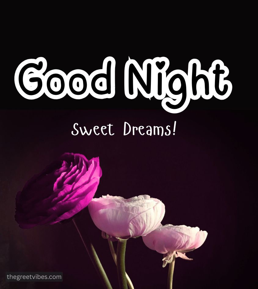 Good Night Sweet Dreams with Roses