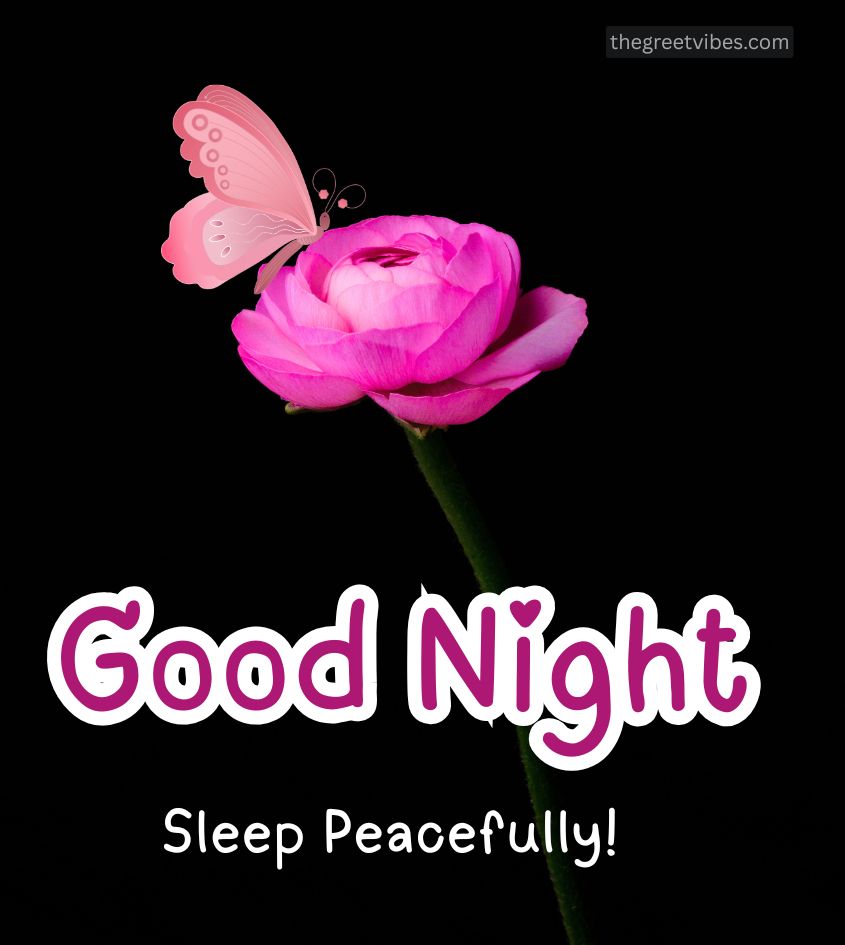 Good Night Roses Images for Lover