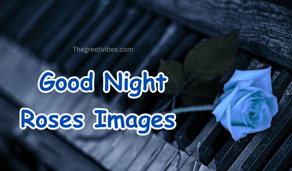 Good Night Roses or Gulab Images