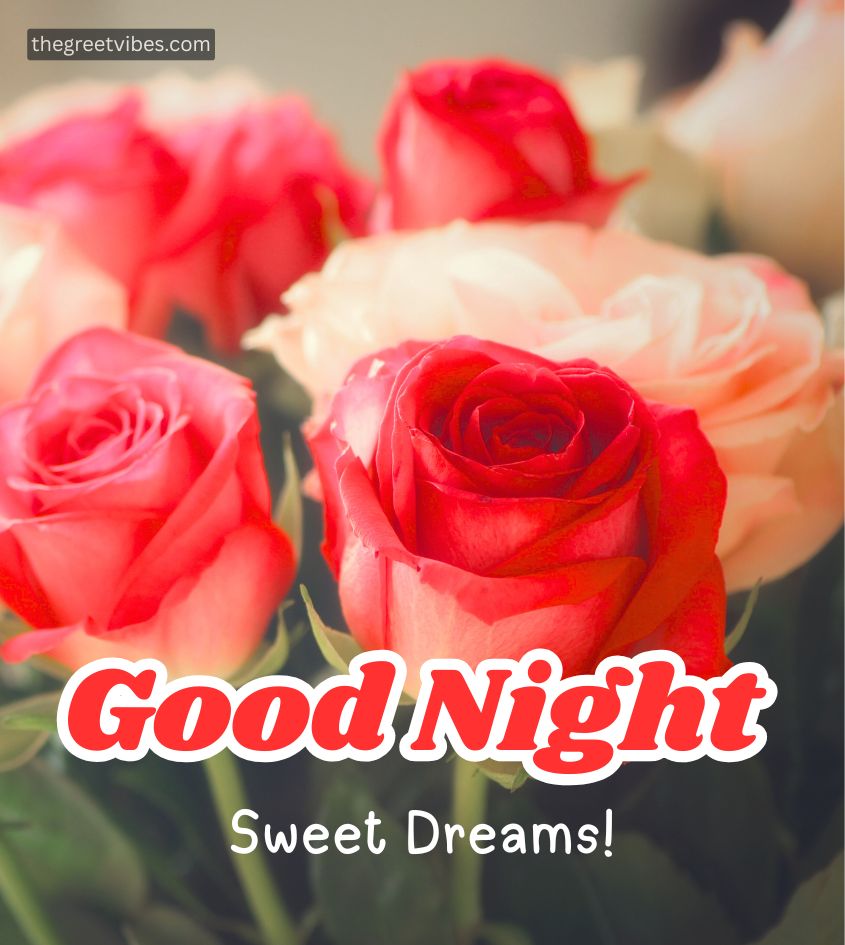 Good Night Sweet Dreams Wishes With Rose Flowers
