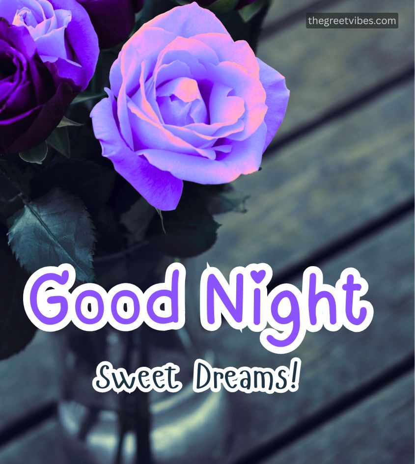 Roses with Good Night Greetings