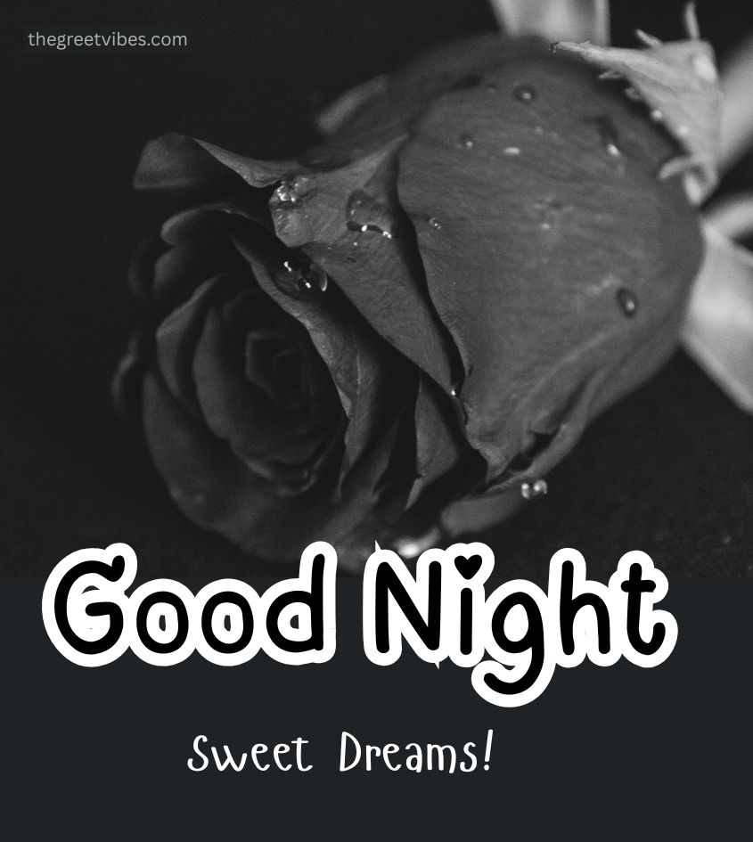 Dark Roses with Good Night Greetings