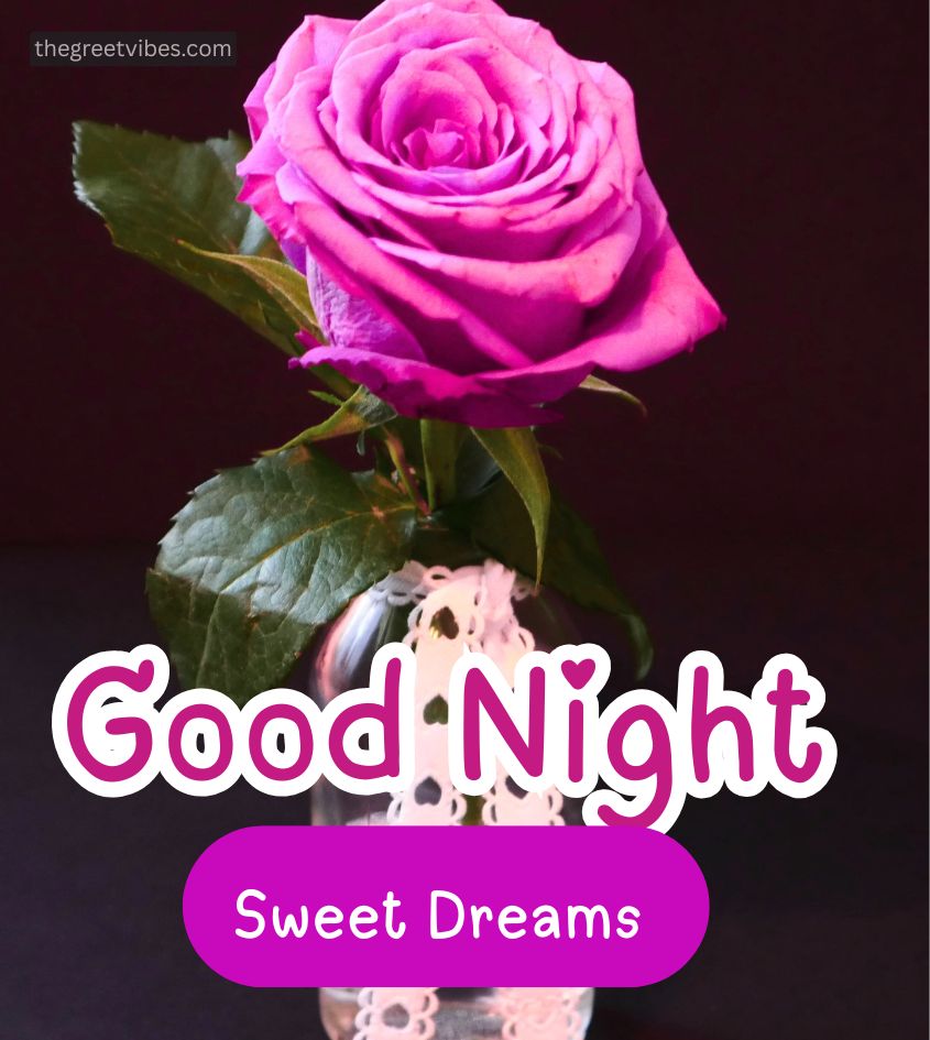 Pink Roses with Good Night Wishes