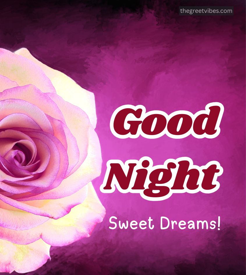 Pink Roses with Good Night Messages