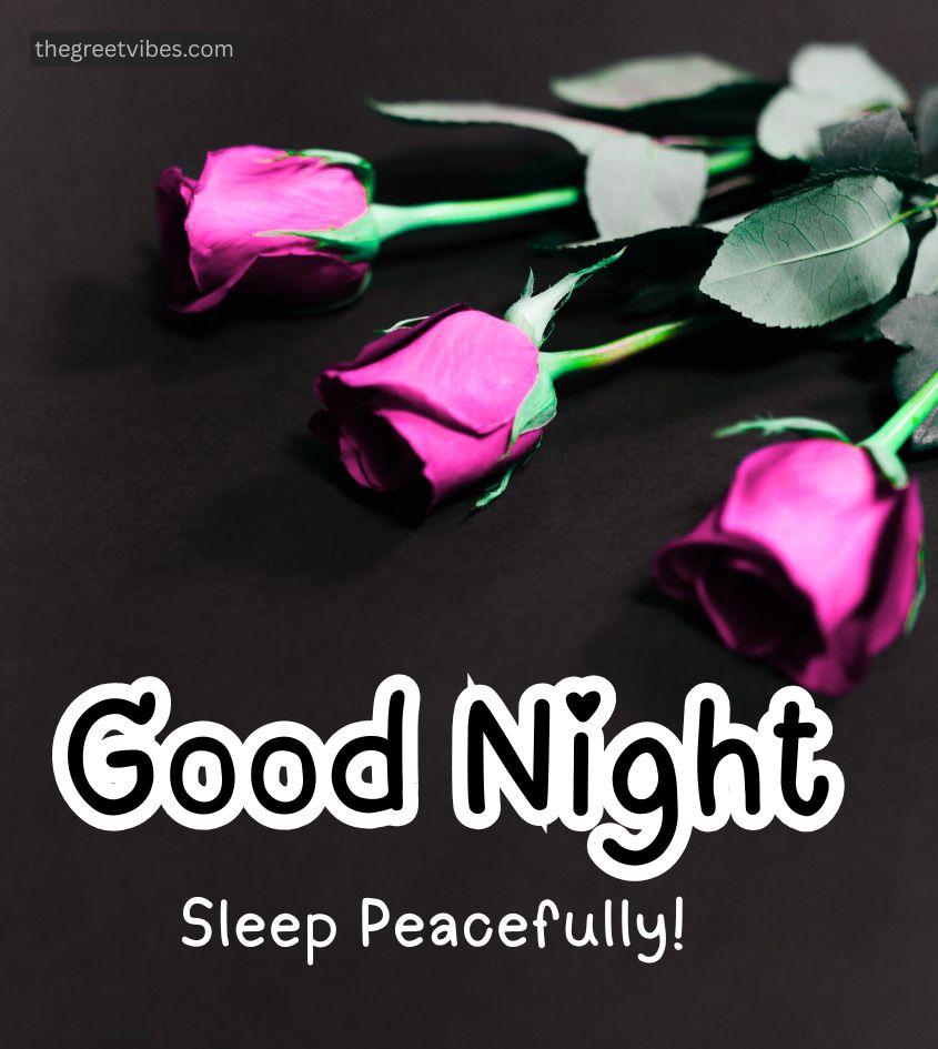Good Night Roses Images