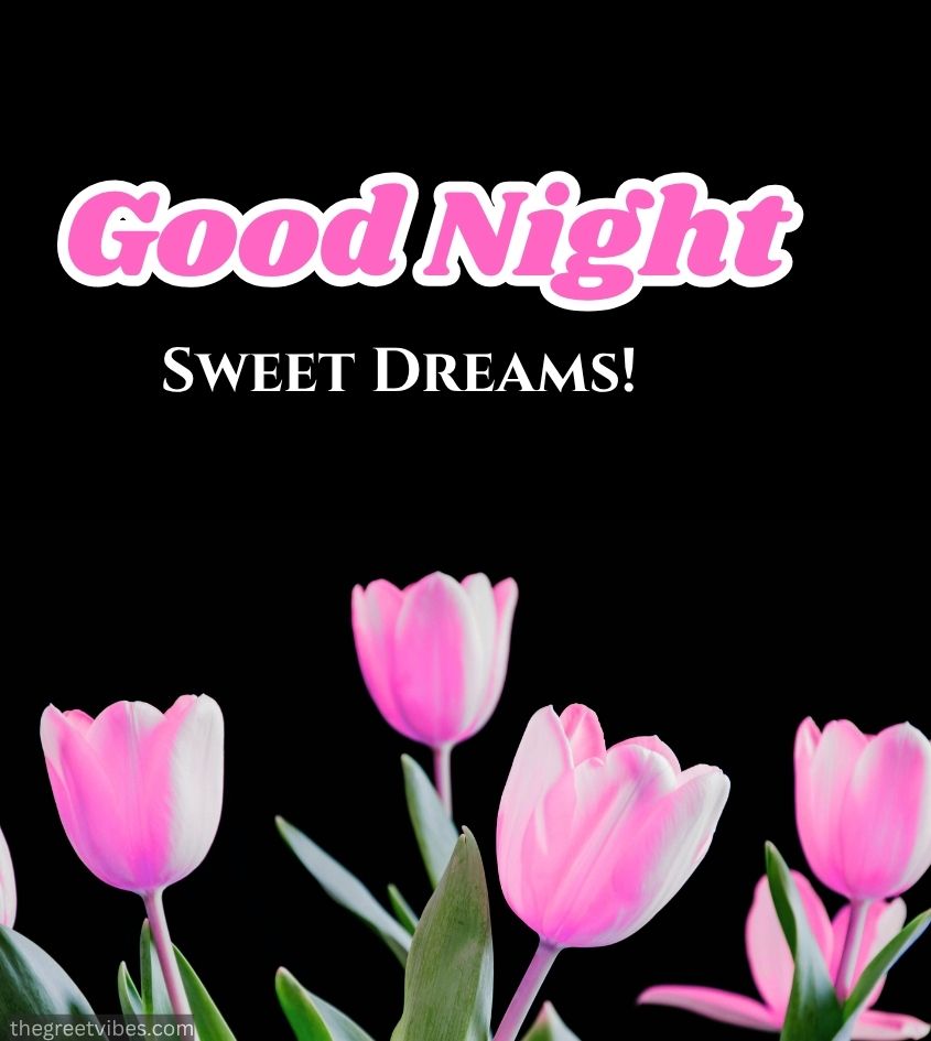 Good night sweet dreams wishes with Beautiful Flowers tulips
