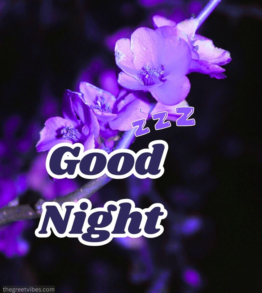 Good night Images with Vibrant flowers