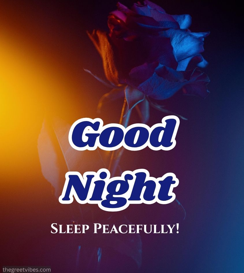 Vibrant Flower with Good Night Pics