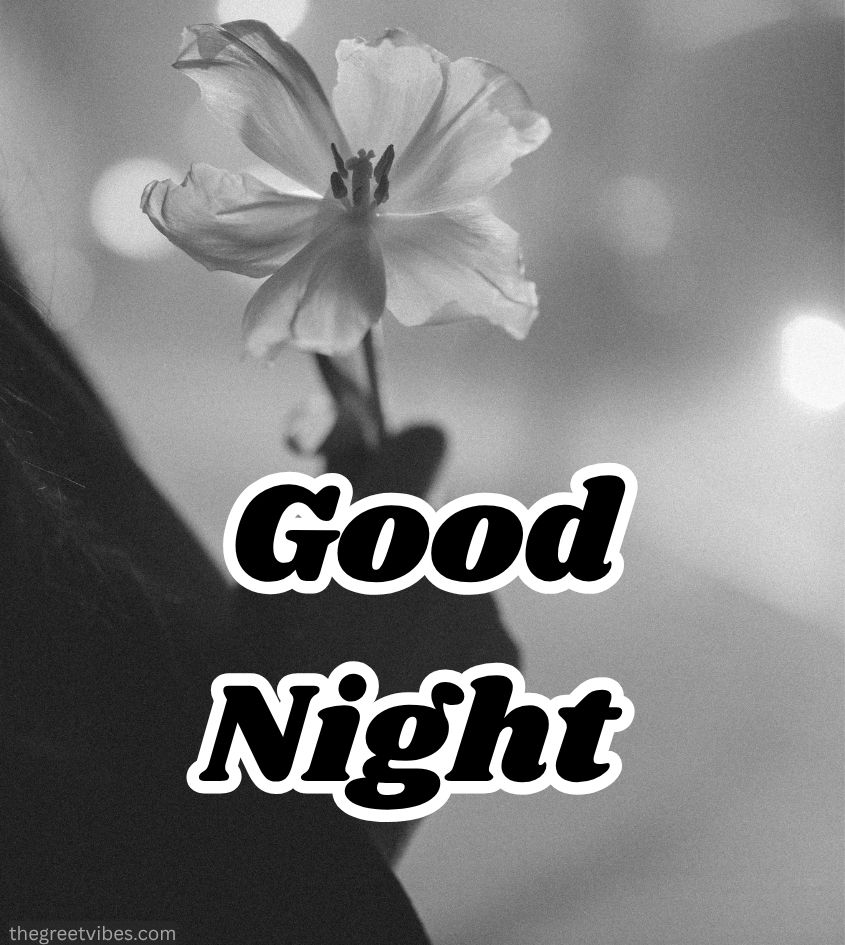Good Night wishes in black theme