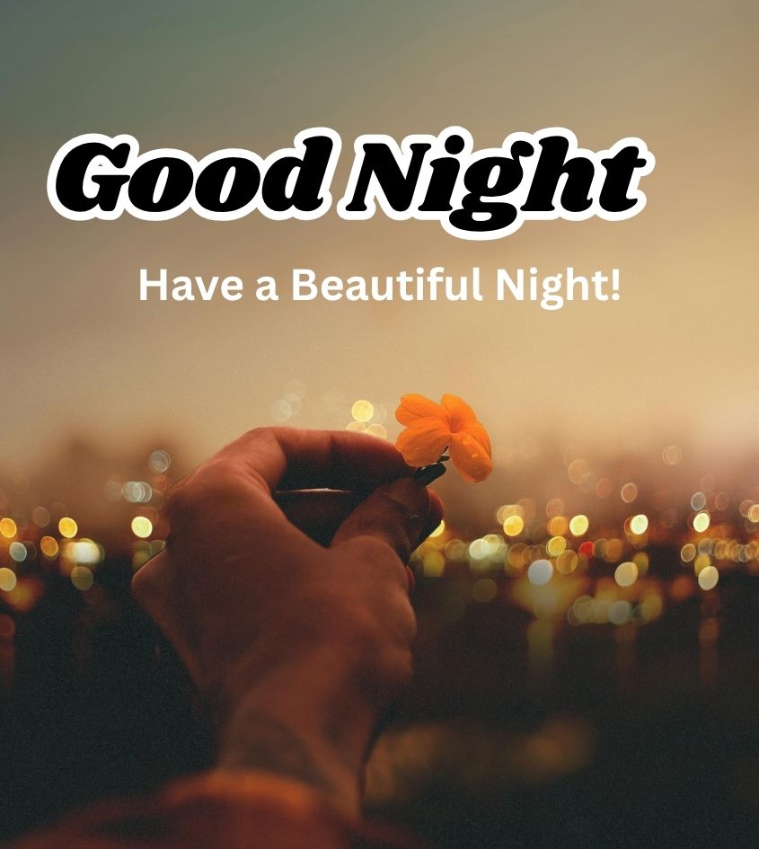 Good Night wishes with flowers for lover