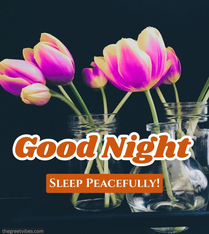 Good Night wishes with flowers