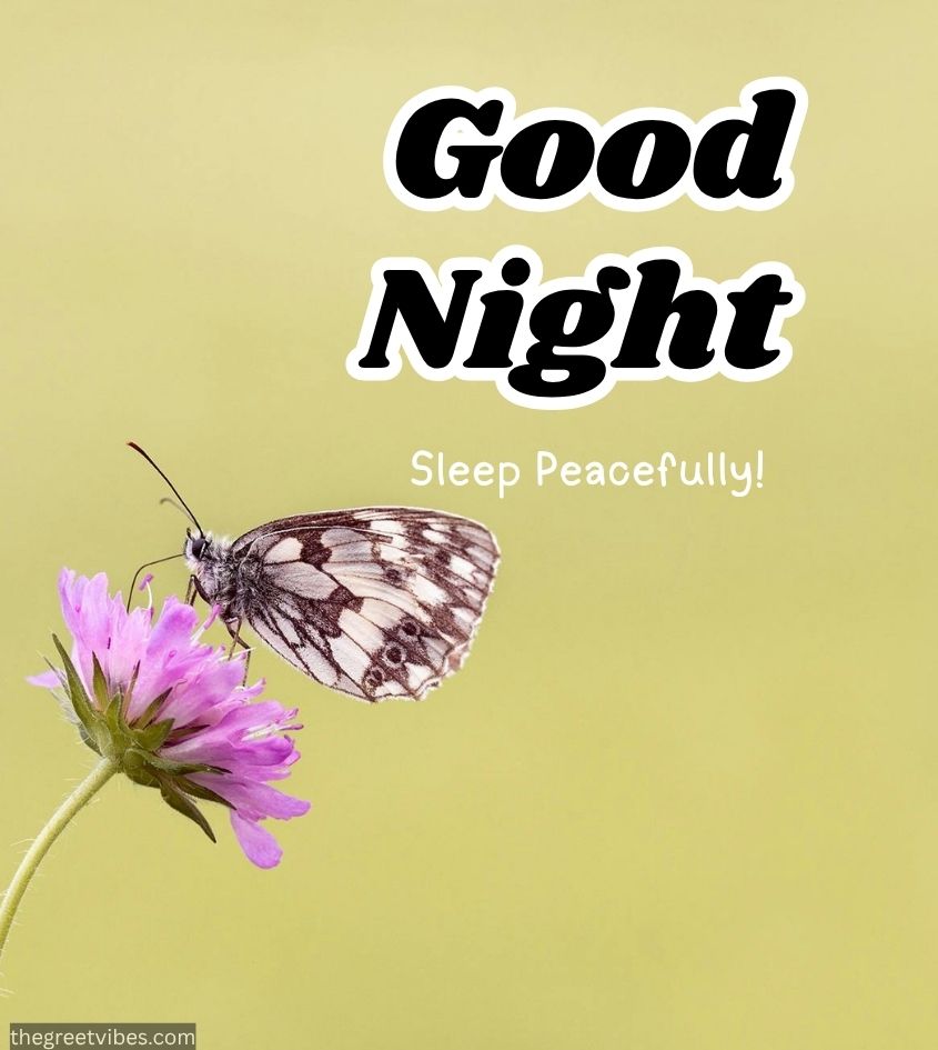 Good Night wishes