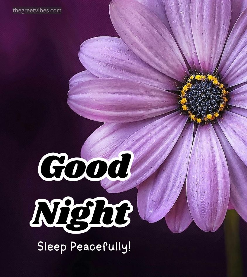 Good Night greetings with beautiful flowers images