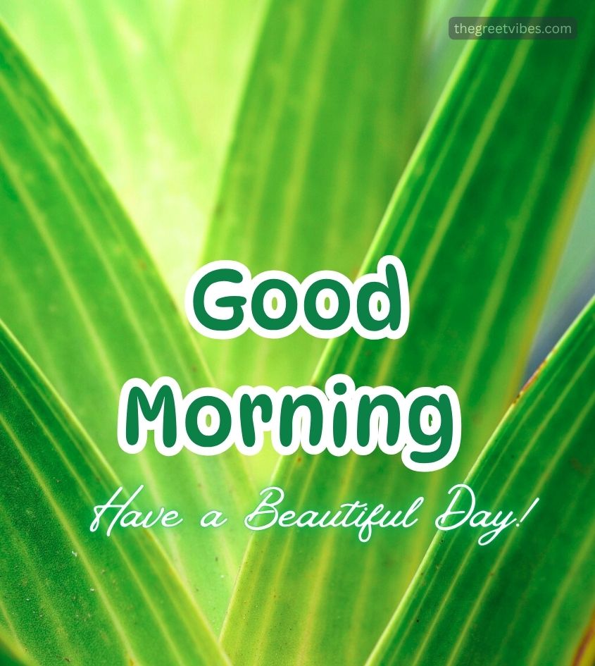 Good Morning Nature green Background
