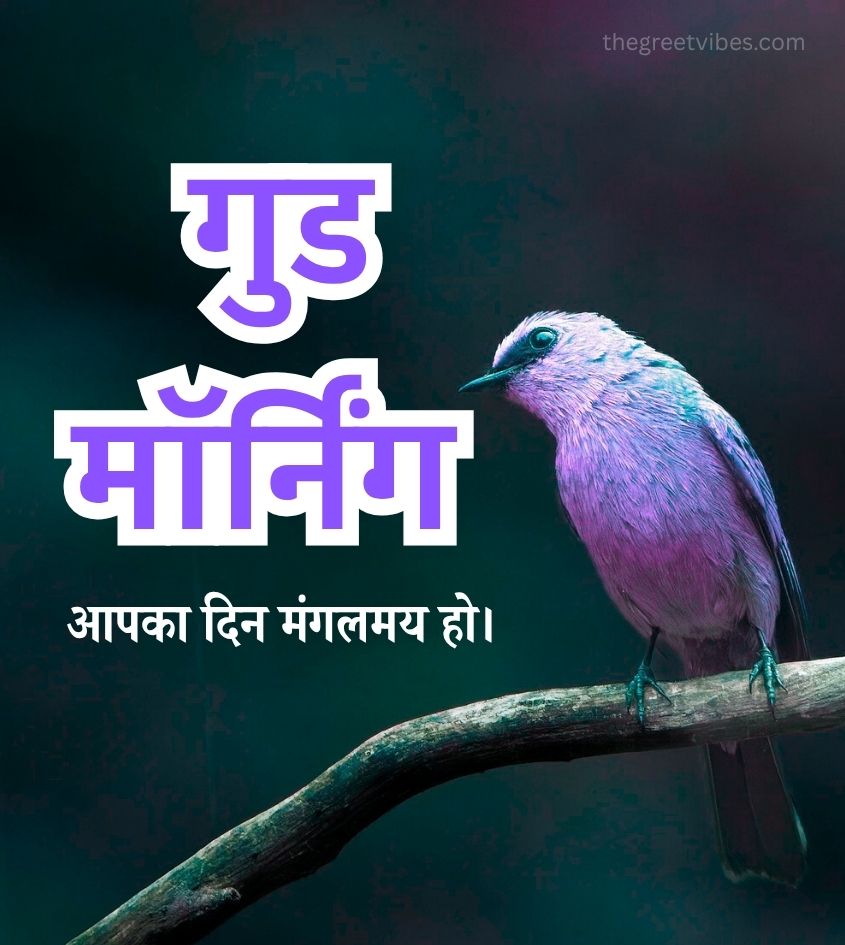 Good morning Hindi Wishes images with Birds