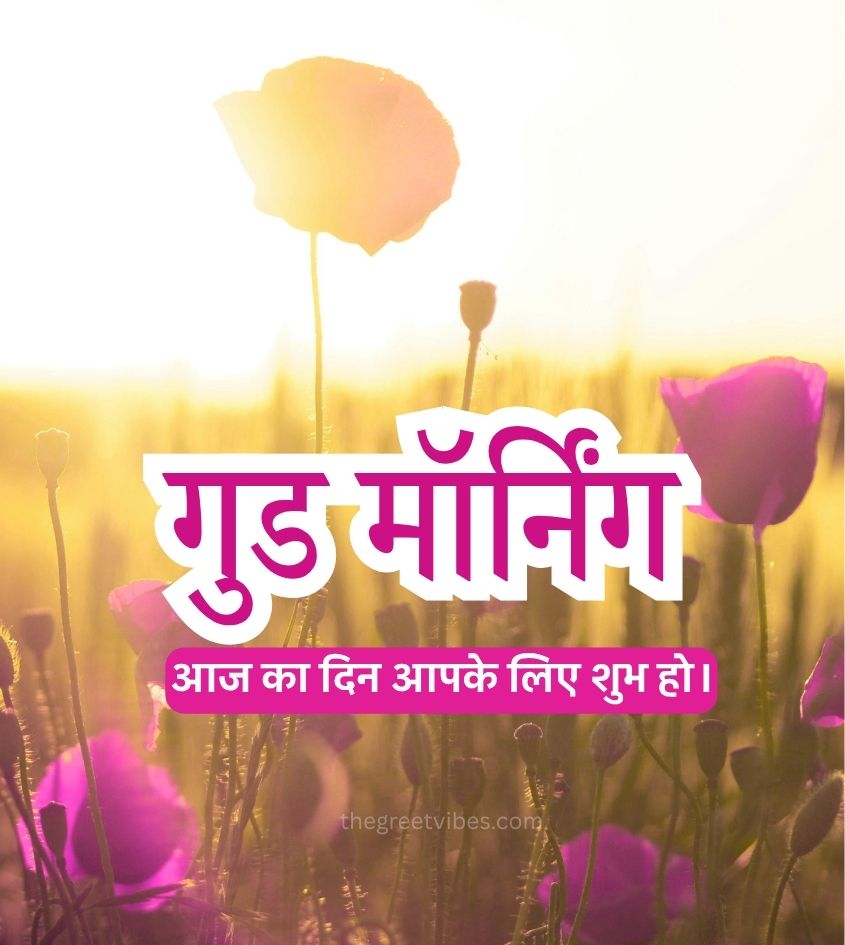 Flowers with Good Morning greetings in Hindi