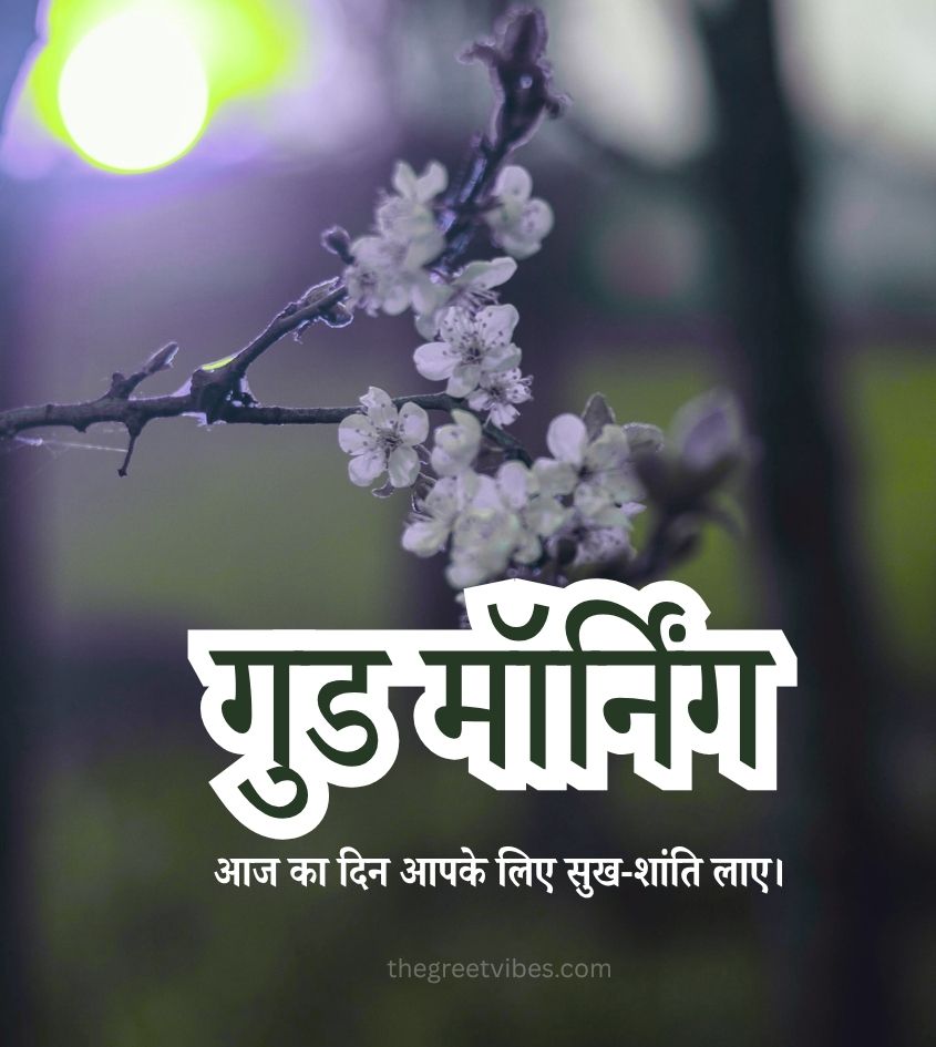 Phool Wali Good morning Pics Hindi Mein