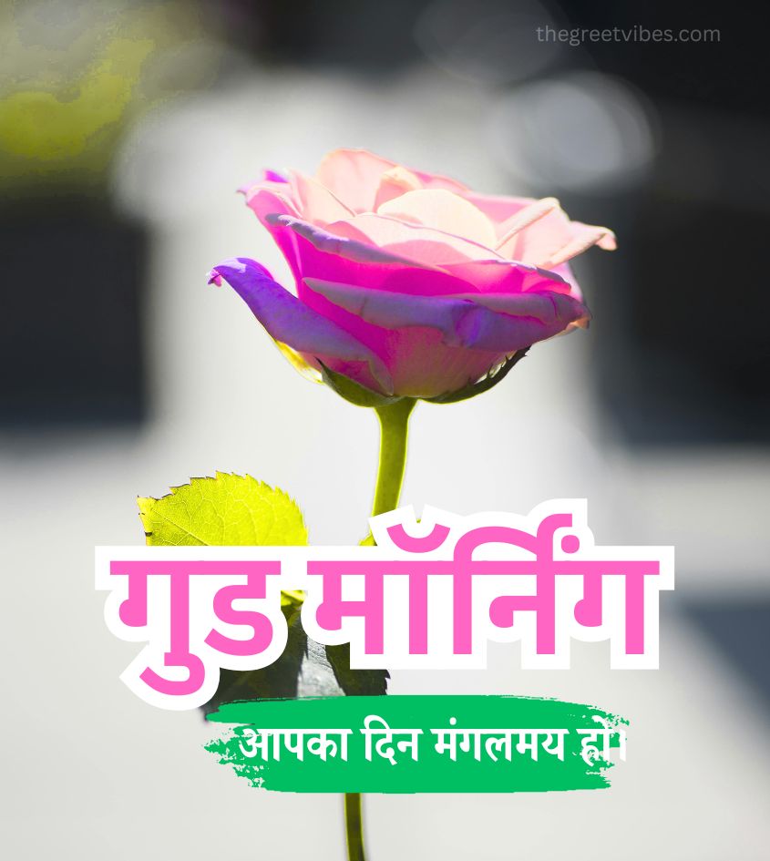 Rose Love Good Morning Hindi Images