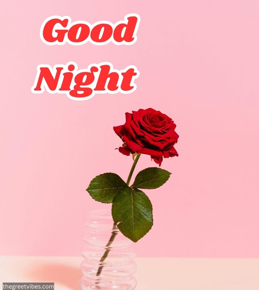Red Rose Flower with Good Night greetings for Lover