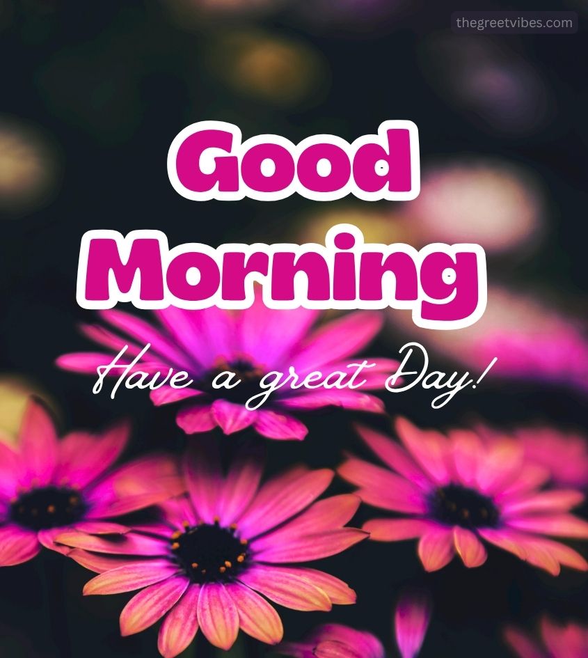 Good Morning Natural Flowers with Have a beautiful day wishes