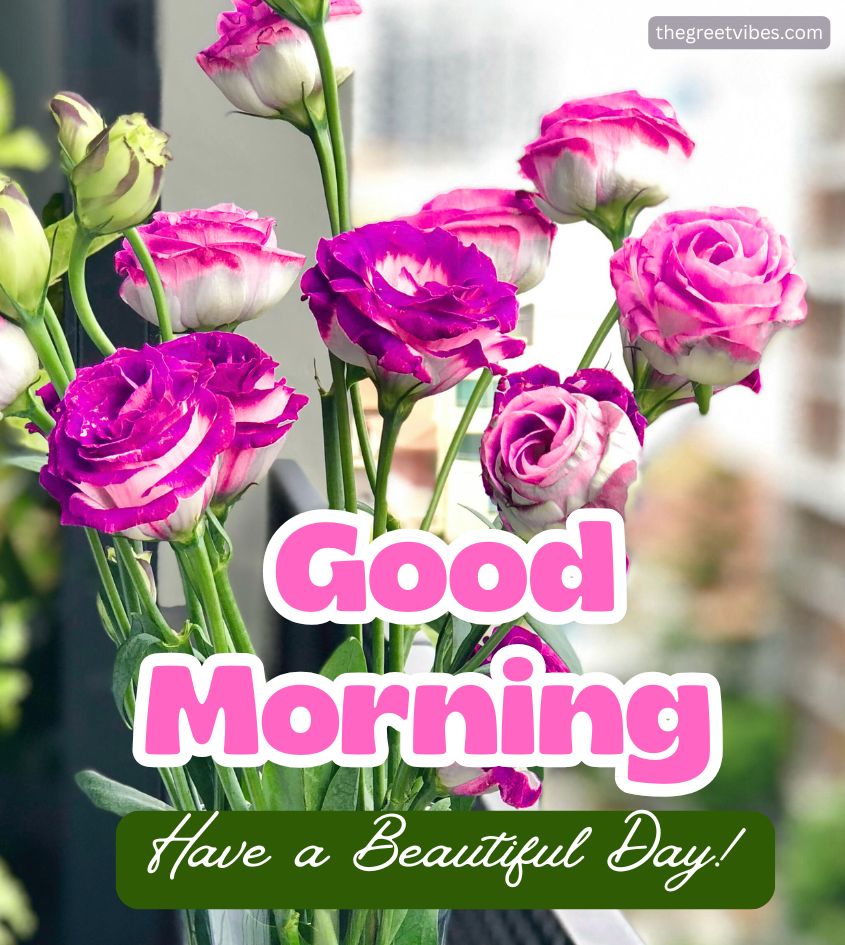 Good Morning Natural Rose with Have a beautiful day wishes