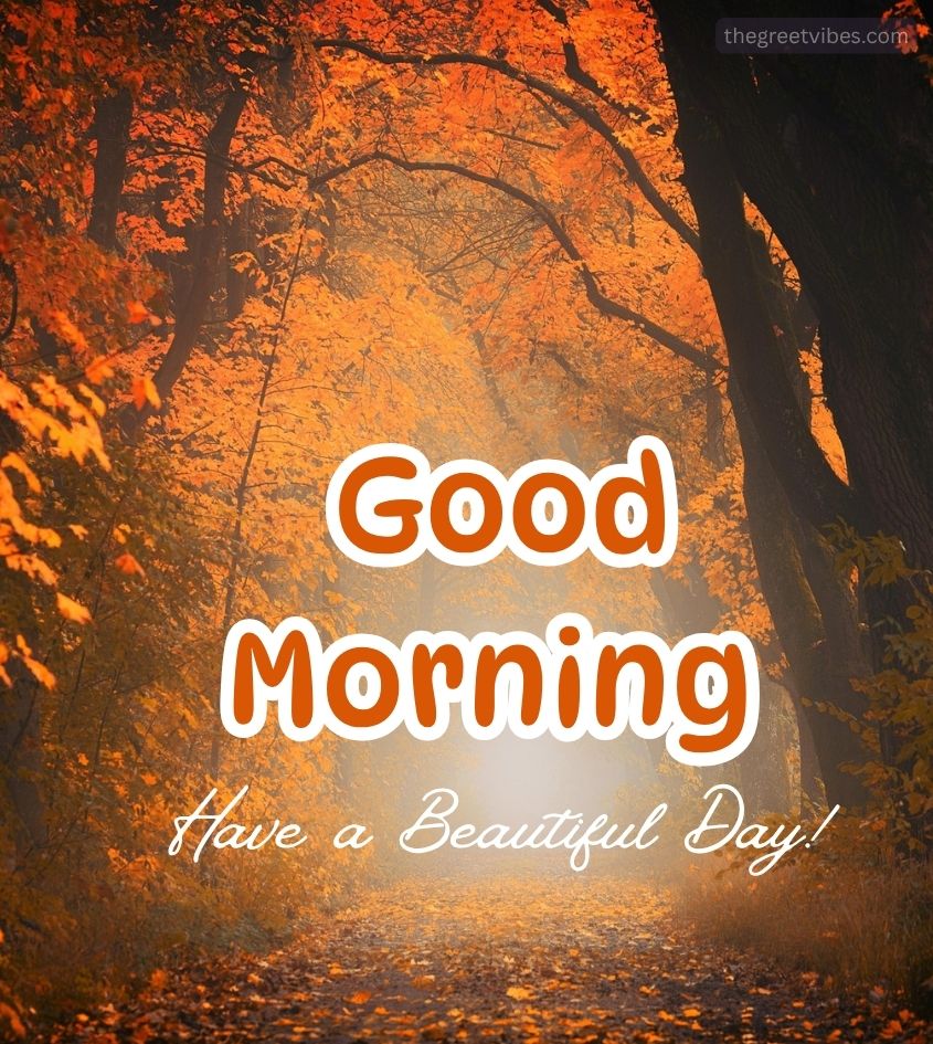 Good Morning Autumn Nature