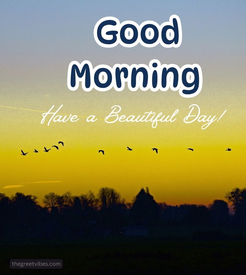 Good Morning Sunrise early morning nature