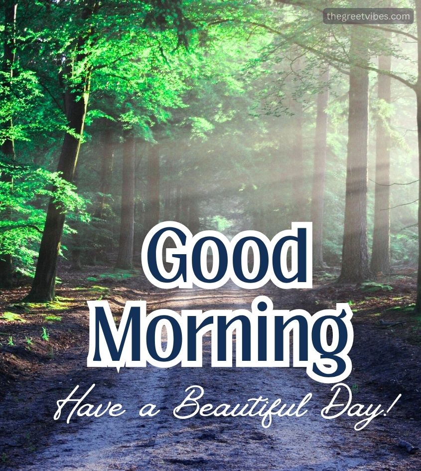 Good Morning Jungle Images