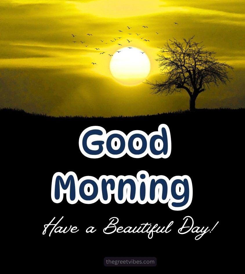 Good Morning Sunrise images