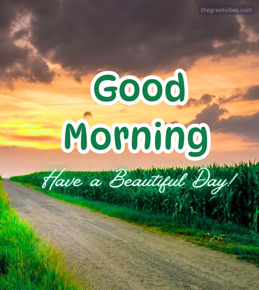 Good Morning Nature Greenery Images