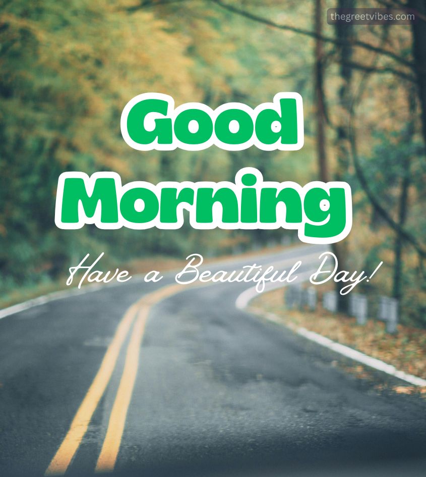 Good Morning Nature Pics